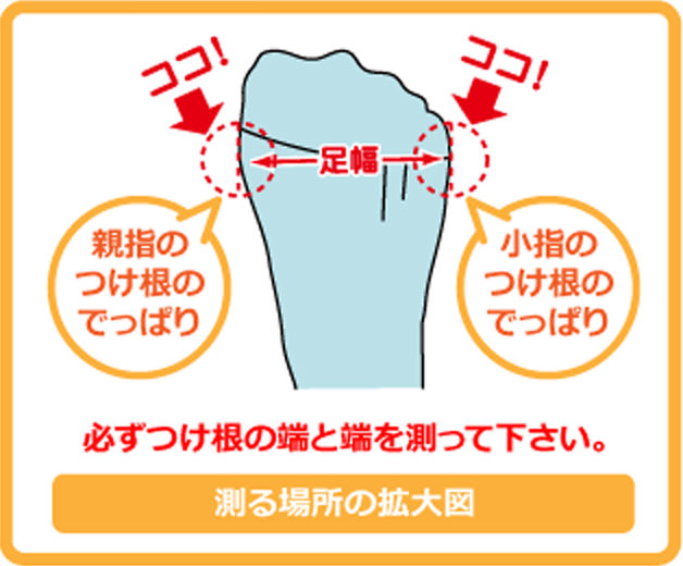 必ず付け根の端と端を測ってください