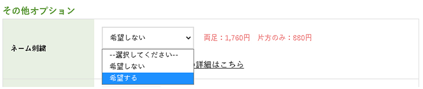 「その他オプション」を確認